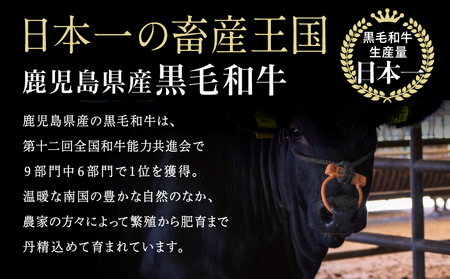 ◆人気の返礼品を3回お届け◆ 鹿児島県産 黒毛和牛 赤身ももスライス 1.2kg×3回 (合計3.6kg) 冷凍 しゃぶしゃぶ すきやき ギフト 贈答 スターゼン 南さつま市