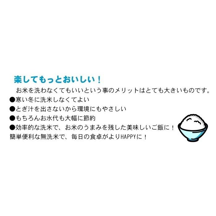 米 無洗米 10kg 10kg×1袋 送料無料 美膳 お米 国内産 白米