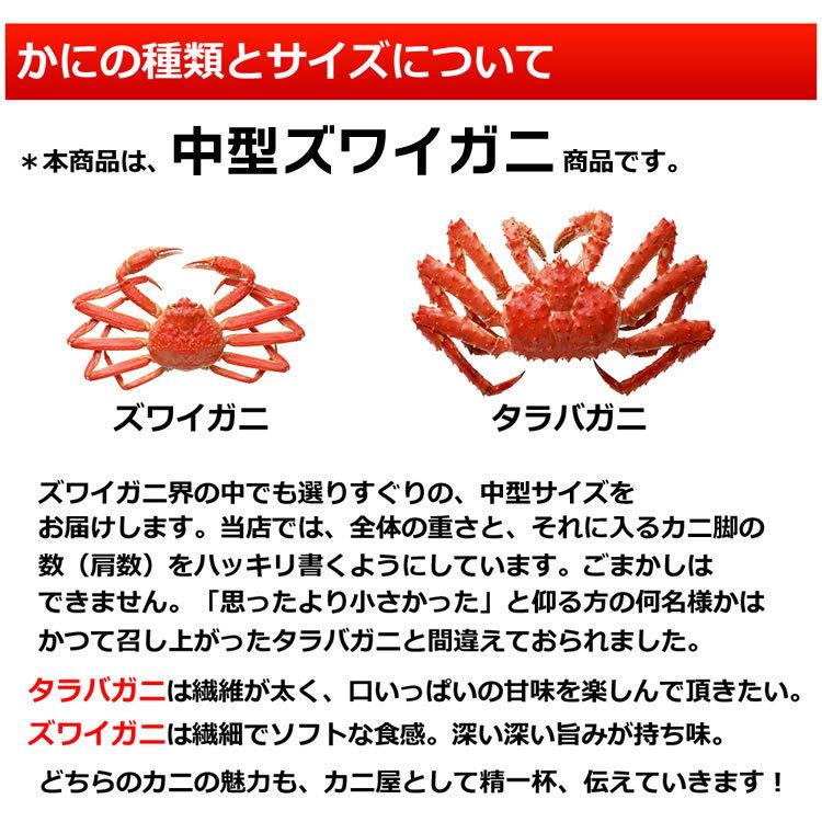 お歳暮 御歳暮 ギフト 2023 カニ かに 蟹 ズワイガニ 脚 1kg 1キロ 海鮮 ボイル 蟹 足 脚 グルメ ギフト 送料無料