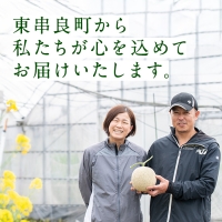 ＜訳あり！定期便・全2回(2月・4月)＞マル福の高級アールスメロン(2玉×2回・計6.8kg)