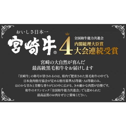 ふるさと納税 宮崎県 宮崎市 宮崎牛 サーロインステーキ 2枚セット_M180-016