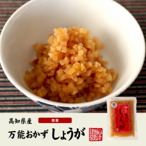 万能おかず生姜 130g×10袋セット 高知県産のしょうがしょうゆ漬（刻み）高知家 焼き魚の付け合わせ 豆腐の薬味 お好み焼きの具