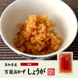 万能おかず生姜 130g×3袋セット 高知県産のしょうがしょうゆ漬（刻み）高知家 焼き魚の付け合わせ 豆腐の薬味 お好み焼きの具材