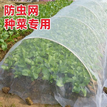 🔥臺灣出貨🔥防蟲網種菜專用網80目防蟲罩加密紗網菜苗菜地果園網蔬菜防鳥罩