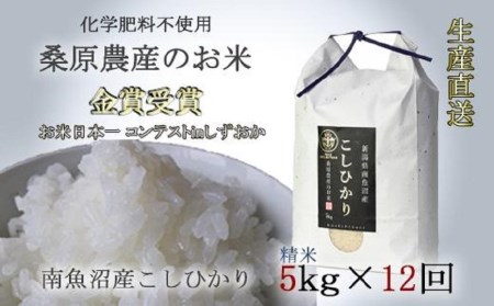 桑原農産のお米5kg×12ヵ月　南魚沼産こしひかり