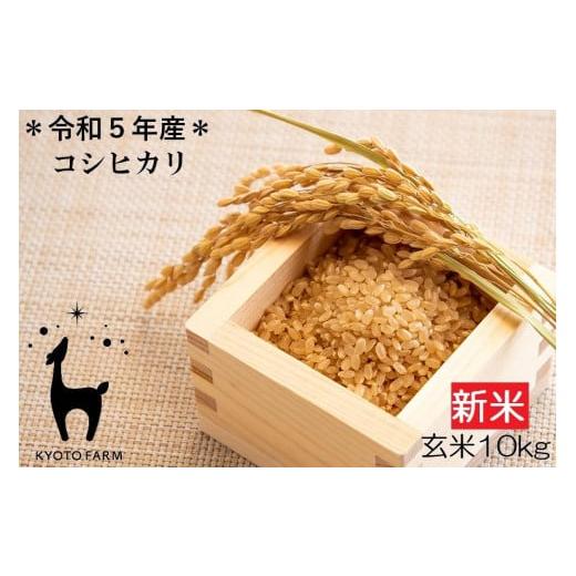 ふるさと納税 京都府 京都市 令和5年産 京都ファームのコシヒカリ 玄米10kg