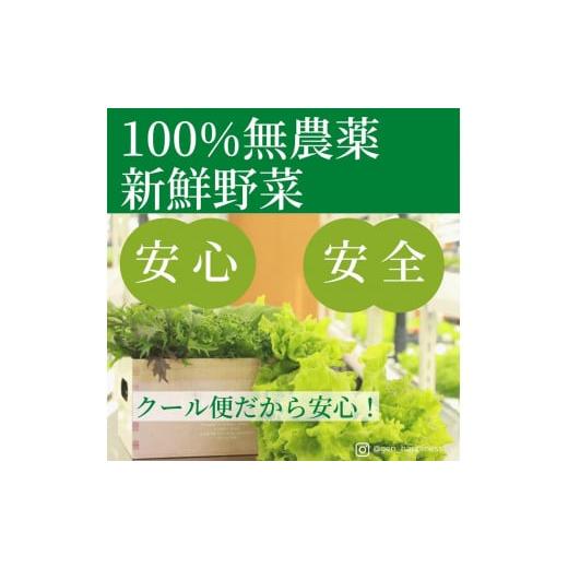 ふるさと納税 滋賀県 大津市 ☆滋賀県大津市から直送！☆新鮮無農薬野菜詰め合わせ