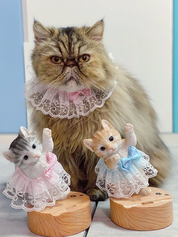 粉紅蕾絲項圈 貓咪 狗狗 頸帶