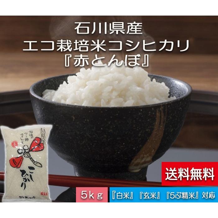 令和5年産 新米 加賀百万石 こしひかり エコ栽培米 石川県産 新米  赤とんぼ  白米 ５kg  送料無料