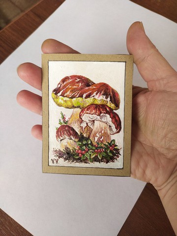 白蘑菇 Aceo 原創藝術植物學小畫收藏卡 White Mushrooms Aceo Original Art Botanical painting