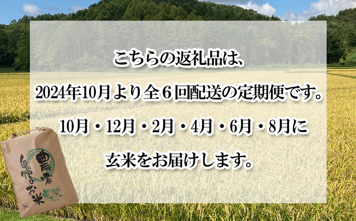 ＜ 予約 定期便 全6回 ＞ 北海道産 希少米 おぼろづき 玄米 5kg ＜2024年10月より配送＞