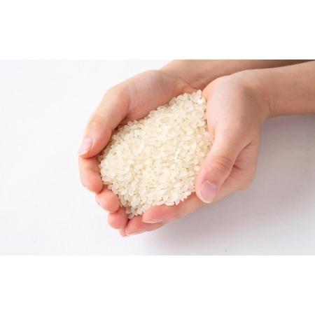 ふるさと納税 P414-05 みずほファーム UKIHA RICE (白米5kg×6ヶ月) 福岡県うきは市