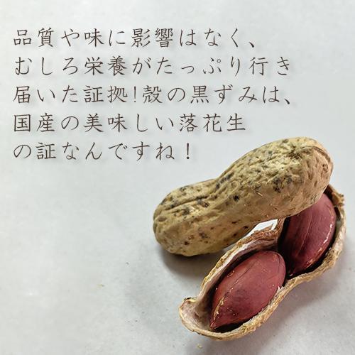 Ｑなっつ （新豆入荷） 100g 千葉県やちまた産 クラフト袋入り 落花生 殻付き 100g 青空レストラン 大変希少 累計販売数250,000袋突破 テレビ紹介大反響