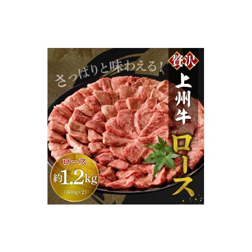 ふるさと納税 群馬県 千代田町 牛肉 ロース  1.2kg（600g×2パック）   群馬県 千代田町 国産 牛肉 ブランド牛 精肉 肉 お肉 焼肉 バーベキュー BBQ…