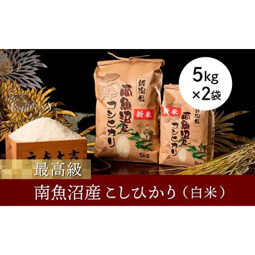 ふるさと納税 新潟県 南魚沼市 南魚沼産こしひかり５ｋｇ×２袋（白米）