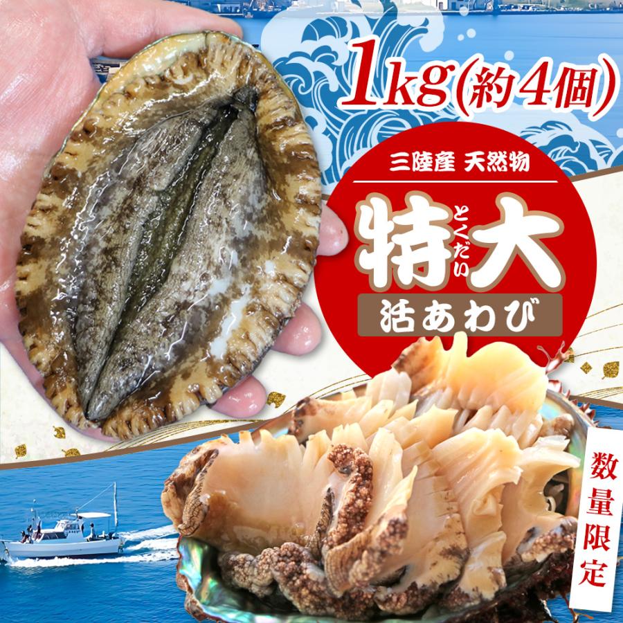 三陸産 天然 活あわび 特大サイズ（1kg 約4個入り） 冷蔵 えぞあわび 生食用 刺身