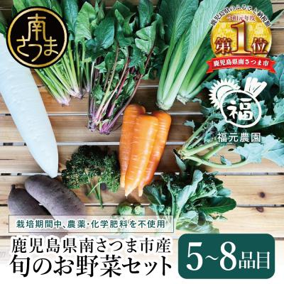 ふるさと納税 南さつま市 福元農園 旬のお野菜 おまかせセット 1箱(5〜8品目)野菜 詰め合わせ