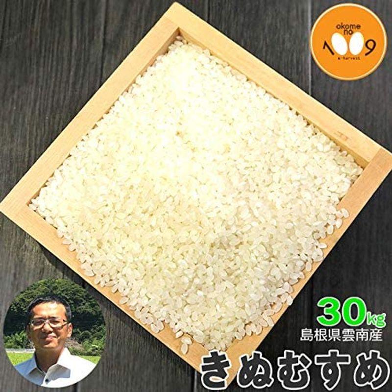 米 きぬむすめ 島根県雲南産 石原公夫 令和4年産 玄米20kg(10kg×2) 白米9kg