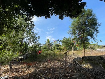 新玉峰段2.59分雙臨路角地｜南投縣水里鄉新玉峰段