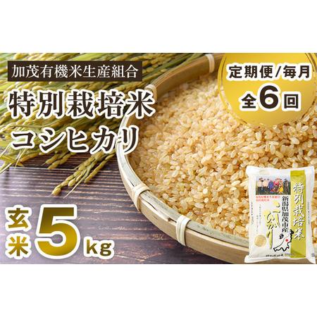 ふるさと納税 新潟県加茂市産 特別栽培米コシヒカリ 玄米5kg 従来品種コシヒカリ 加茂有機米生産組合 定期便 定期購入.. 新潟県加茂市