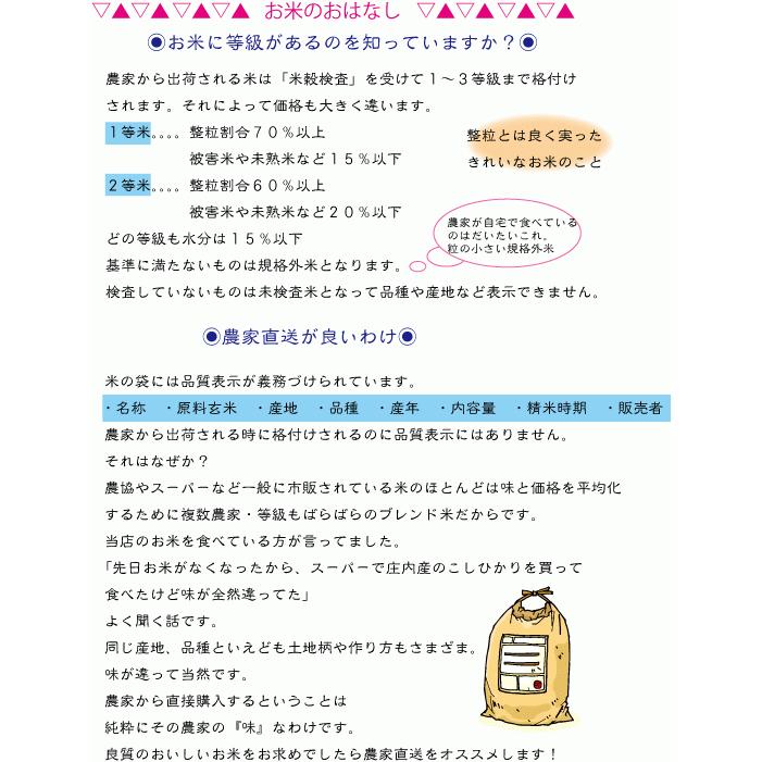 山形県庄内産コシヒカリ　白米10kg 令和５年度特別栽培米 農家直送 　特A