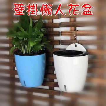 jlss號 (11cm) 可視水位 壁掛懶人花盆 自動吸水 多肉花盆