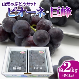 山形のぶどうセット 秀品 約2kg(ピオーネ約1kg2房前後・巨峰約1kg2房前後)[9月中旬～10月中旬お届け] FS23-751