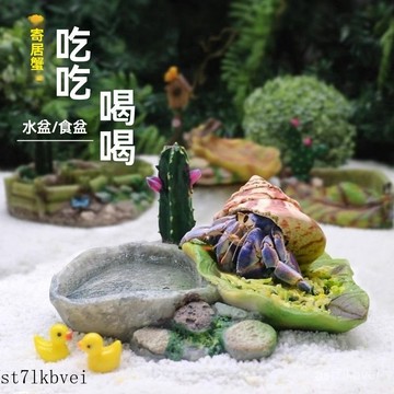 🔥免運🔥爬寵水盆食盆 爬寵餵食盆 直角食盆  寵物泡澡盆 仿真樹脂 爬蟲 蛇 烏龜食盆寄居蟹高仿真樹脂水盆食盆~喫喫喝喝