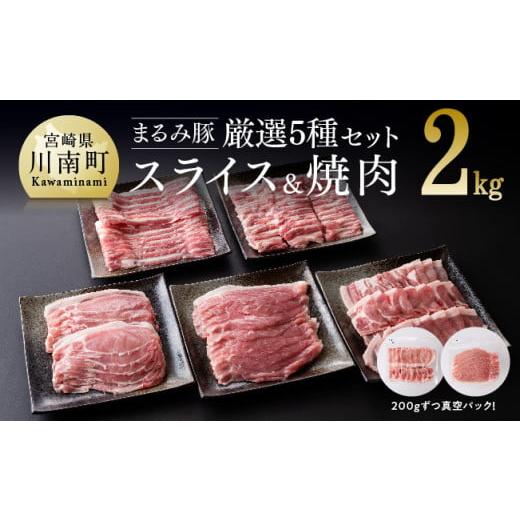 ふるさと納税 宮崎県 川南町 宮崎ブランド豚まるみ豚厳選！ 精肉５種セット （１０パック） 肉 豚 豚肉