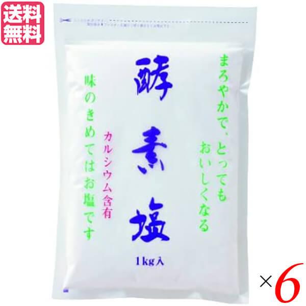 塩 天日塩 天然 酵素塩 6kg 送料無料