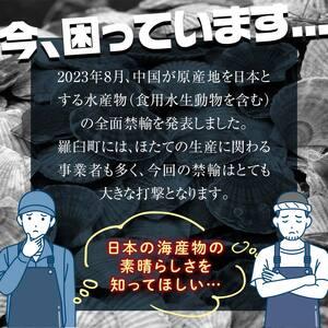 ふるさと納税 北海道産 訳ありホタテ 1kg(500g×2パック) 3D冷凍 ほたて ホタテ 貝柱 貝 刺身 海鮮丼 米 羅臼町 北海道 海鮮 セット 生産者 .. 北海道羅臼町