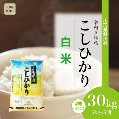 ふるさと納税 鮭川村 令和5年産コシヒカリ30kg定期便(5kg×6回)