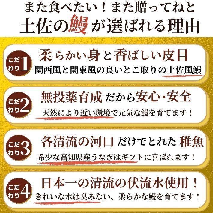 高知県産 うなぎ 蒲焼き 四万十川 仁淀川 食べ比べ 無投薬 国産  各2本  ギフト 贈答