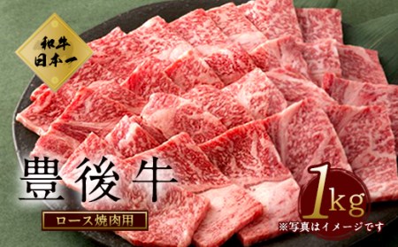 数量限定 大分県竹田市産 おおいた和牛 ロース 焼肉用 