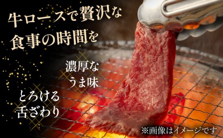 宮崎県産黒毛和牛パイン牛ロース 焼肉(500g)　肉 牛 牛肉