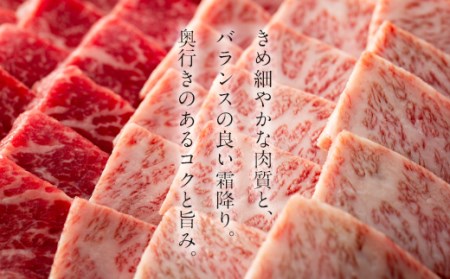 鹿児島黒牛極上セット（焼肉）500ｇ 1パック