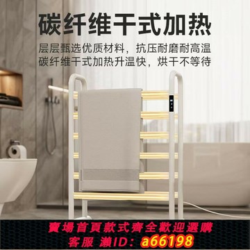 【台灣公司 可開發票】110v美規多功能浴室電熱毛巾架烘干架電熱落地毛巾架觸屏控臺灣