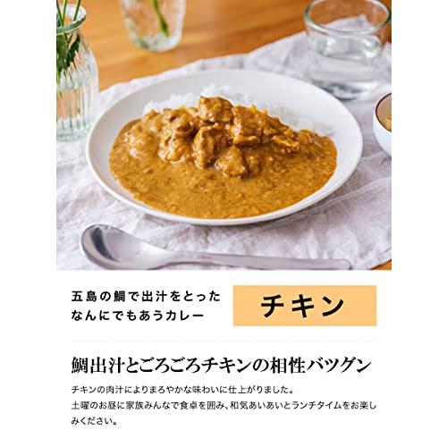 ごと 五島の鯛で出汁をとったなんにでもあうカレー 5種セット(プレーン・チキン・ビーフ・チーズ・ポーク) 福さ屋 辛子明太子