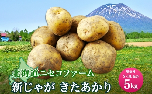 北海道産 じゃがいも きたあかり 5kg 規格外 訳あり S-3L サイズ混合 新じゃが 芋 ジャガイモ いも 野菜 農作物 お取り寄せ キタアカリ馬鈴薯 ニセコファーム 送料無料 北海道 倶知安町