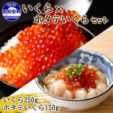 北海道産「いくら醤油漬け」250g「ホタテいくら」150g セット 北海道 倶知安町