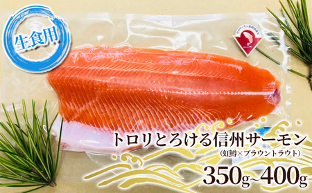 トロリとろける信州サーモン（虹鱒×ブラウントラウト）生食用350g～400g