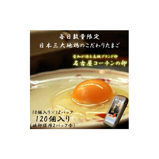 ふるさと納税 愛知県 稲沢市 ☆名古屋コーチンの卵12パック（破卵保証2パック含）