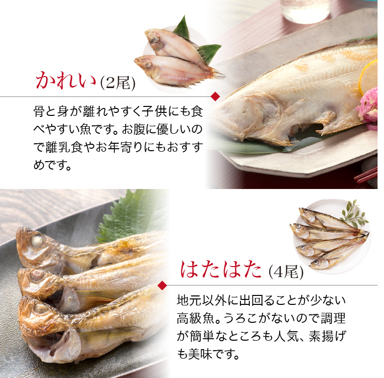 干物 6種13枚 のどぐろ ＋ 西京漬け 2種(赤魚 さば)  お取り寄せ 一夜干し 魚  ((冷凍) プレゼント ギフト