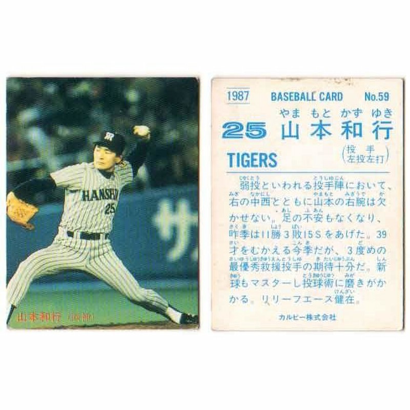 カルビー プロ野球チップス 1991年 資料 おそう