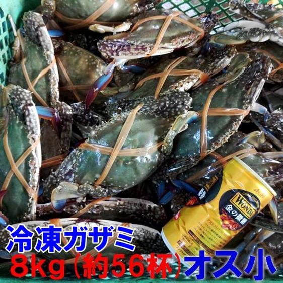 魚介類 カニ 冷凍 ワタリガニ オス小サイズ８ｋｇ約56杯 渡り蟹 ガザミ 産地直送