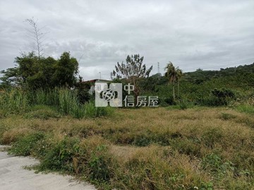 初鹿郵局後1028坪臨路平坦農地｜台東縣卑南鄉梅園