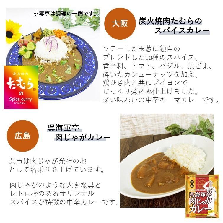 ご当地カレー バラエティー 人気 食べ比べ 景品 非常食 プレゼント まとめ買い 常温保存 贈り物 お取り寄せ 大阪 東京 兵庫 広島 福岡 2023 食べ物