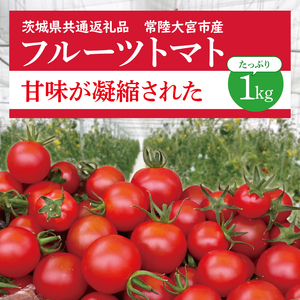 フルーツトマト 1kg フルティカ 高糖度トマト 次世代農法 冷蔵配送 茨城県共通返礼品 ・ 常陸大宮市産 ） アイメック農法 フィルム農法 旬 新鮮 野菜 採れたて 産地直送 SDGs 再生可能エネルギー 常陸太陽の庭_DR001