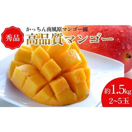 ふるさと納税 高品質マンゴー 秀品　約1.5kg（2〜5玉） 沖縄県うるま市