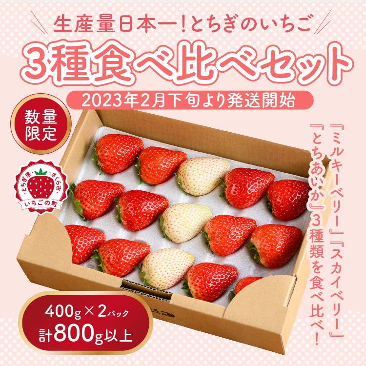 満足3種食べ比べセット（ミルキーベリー、スカイベリー、とちあいか）400g×2パック　800g ※2024年2月下旬～5月下旬頃に順次発送予定 ※着日指定不可